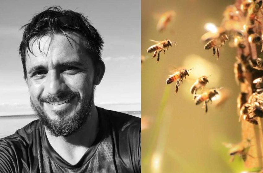  Popular atleta muere tras comerse una abeja durante su entrenamiento