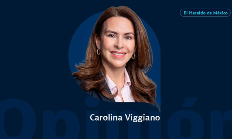  Una reforma electoral dictada desde el poder