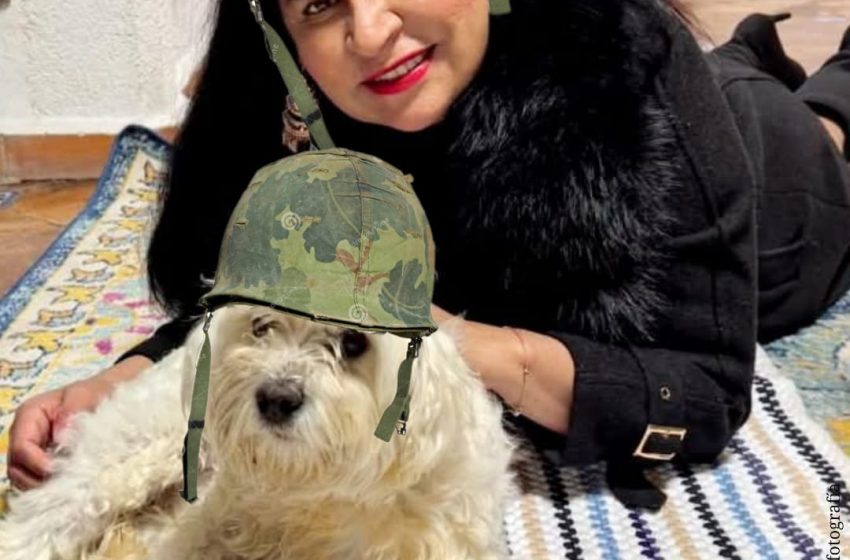  COSA PÚBLICA… Ana Lilia Rivera: entre el plagio y los tropiezos políticos