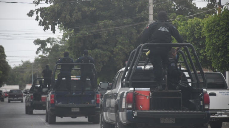  ¿Más pistolas que libros?