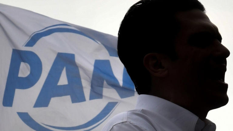  Focos rojos en el PAN