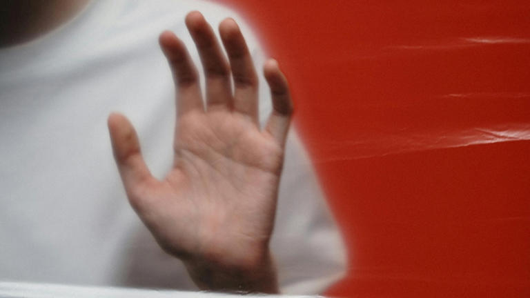  Visibilizando el monstruo