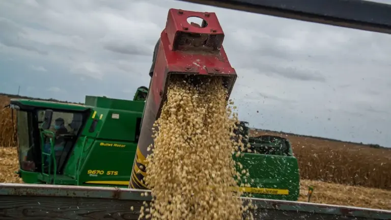  Precio del maíz por consenso